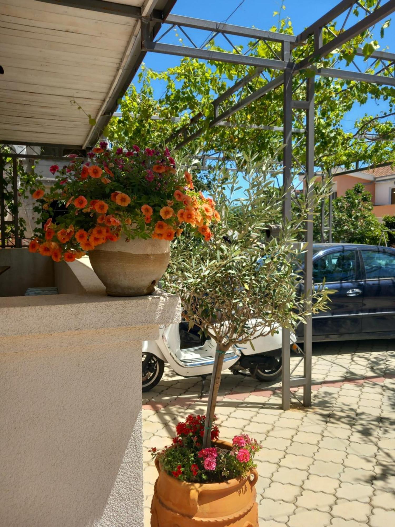 Apartment Nina Donji Stoj